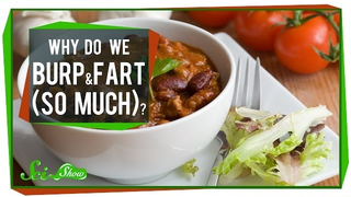 No but really, why do we all burp and fart so much?